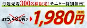 最後の門番モニター