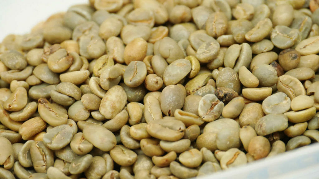 生コーヒー豆