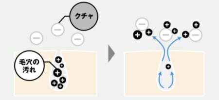 沖縄海泥クチャ「海シルト」