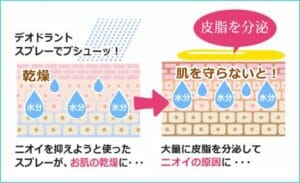 ティノンの特徴