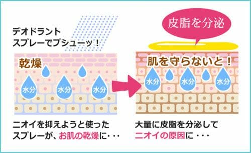 ティノンの特徴