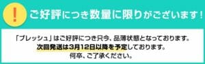 ブレッシュ在庫