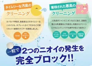 フレピュアの特徴