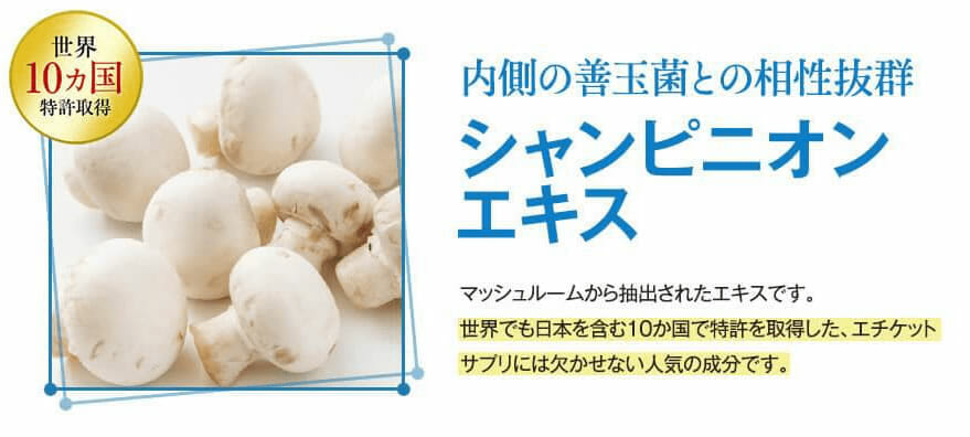 善玉菌との相性抜群の「シャンピニオンエキス」