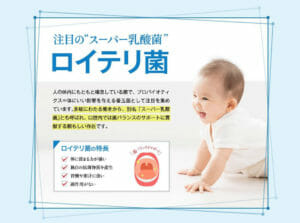 注目のスーパー乳酸菌「ロイテリ菌」