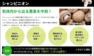 シャンピニオン